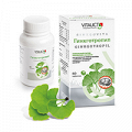 Vitauct "Гинкготропил" таблетки 0,65г фото