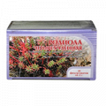 Родиола четырехчленная (Красная щетка) корневища и корни фильтр-пакеты по 2г фото