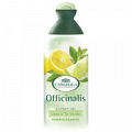 Гель для душа "Langelica" Officinalis энергетический с экстрактом лайма и зеленого чая 250мл фото
