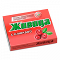 Жевательная резинка "Живица таежная" натуральная с клюквой 0,8г фото
