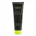 Кондиционер для волос "Envy Professional" Gentle Detangling 75мл фото