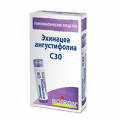 Эхинацеа ангустифолиа гранулы гомеопатические разведение С30 4г фото
