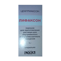 Лифаксон порошок для приготовления инъекционного раствора 1г фото