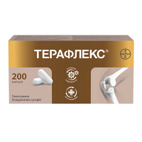 Терафлекс капсулы 500мг+400мг фото