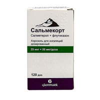 Сальмекорт аэрозоль 25мкг+50мкг/доза 120доз фото