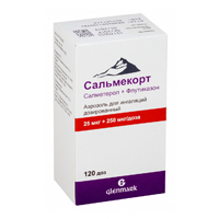 Сальмекорт аэрозоль 25мкг+250мкг/доза 120доз фото