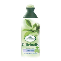 Гель для душа "Langelica" Officinalis очищающий антибактериальный с маслом чайного дерева 250мл фото