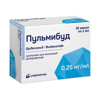 Пульмибуд суспензия 0,25мг/мл 2мл фото