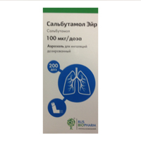Сальбутамол Эйр аэрозоль 100мкг/доза (200 доз) фото