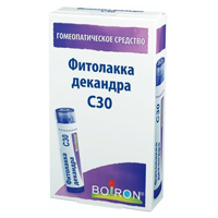 Фитолакка декандра гранулы гомеопатические разведение С30 4г фото