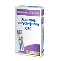Эхинацеа ангустифолиа гранулы гомеопатические разведение С30 4г фото
