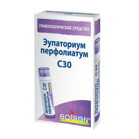 Эупаториум перфолиатум гранулы гомеопатические разведение C30 4г фото