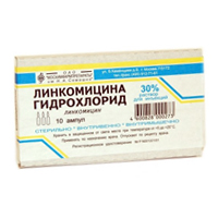 Линкомицина гидрохлорид раствор для инъекций 30% 2мл фото