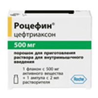 Роцефин порошок для приготовления инъекционного раствора в/м 500мг фото
