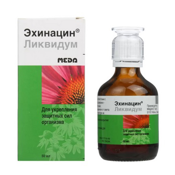 Эхинацин ликвидум раствор 50мл фото