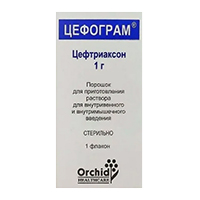 Цефограм порошок для приготовления инъекционного раствора 1г фото