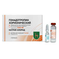 Гонадотропин хорионический лиофилизат для инъекций 5000МЕ фото