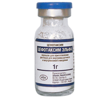 Цефотаксим Эльфа порошок для приготовления инъекционного раствора 1г фото