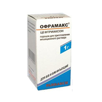 Офрамакс порошок для приготовления инъекционного раствора 1г фото