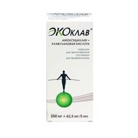 Экоклав порошок 250мг+62,5мг/5мл 25г фото