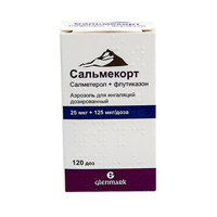 Сальмекорт аэрозоль 25мкг+125мкг/доза 120доз фото