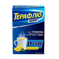 ТераФлю Макс порошок 5г фото