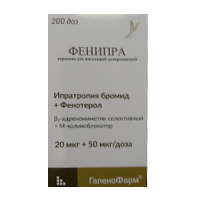 Фенипра аэрозоль 20мкг+50мкг/доза (200 доз) фото