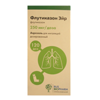 Флутиказон Эйр аэрозоль 250мкг/доза (120 доз) фото